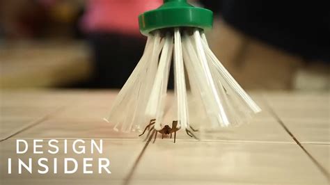 Spider killer magic mesh